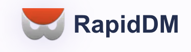 RapidDM logo